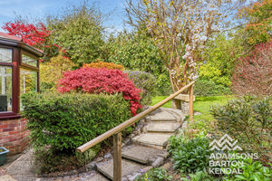 Photo 49- click for photo gallery